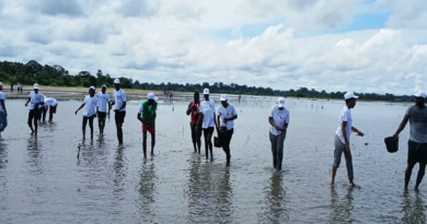 Baïla: des communautés se mobilisent dans le repiquage de la mangrove pour redonner vie à un marigot de 10 ha Baïla: des communautés se mobilisent dans le repiquage de la mangrove pour redonner vie à un marigot de 10 ha