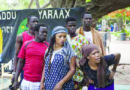 Face au raz-de-marée des téléfilms : «Kaddu Yaraax» au chevet du théâtre sur scène