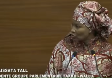 Gestion économique, nouveau Cap : Les remontrances d&rsquo;Aïssata Tall Sall sur le bilan du gouvernement