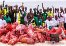 Thiaroye sur mer: plus de 300 sacs de déchets plastiques collectés lors d’une randonnée Thiaroye sur mer: plus de 300 sacs de déchets plastiques collectés lors d’une randonnée