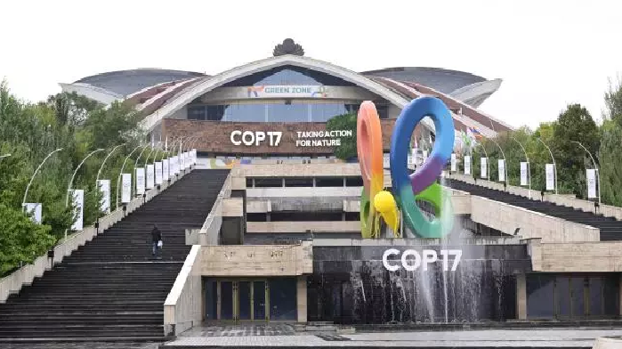 A la COP17, les États sommés de rectifier le tir sur leurs engagement pour la nature A la COP17, les États sommés de rectifier le tir sur leurs engagement pour la nature