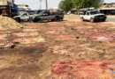 Filière cuir : Touba, un gisement de peaux sous-exploité