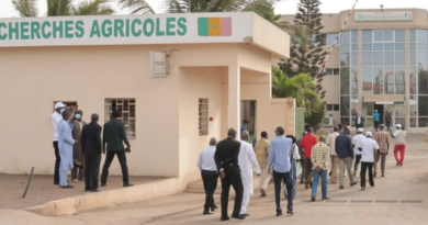 L’Institut sénégalais de recherches agricoles (ISRA) face à une pénurie criante de techniciens expérimentés L’Institut sénégalais de recherches agricoles (ISRA) face à une pénurie criante de techniciens expérimentés