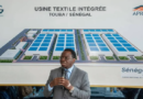 Département de Mbacké : le commerce comme empire, l’industrie comme horizon