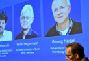 Le prix Nobel de médecine est décerné à Karl Deisseroth, Peter Hegemann et Georg Nagel Le prix Nobel de médecine est décerné à Karl Deisseroth, Peter Hegemann et Georg Nagel