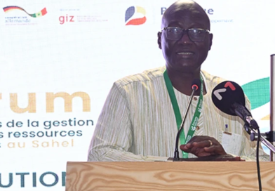 Dakar accueille une rencontre consacrée à la ‘’résilience’’ du Sahel face au changement climatique Dakar accueille une rencontre consacrée à la ‘’résilience’’ du Sahel face au changement climatique